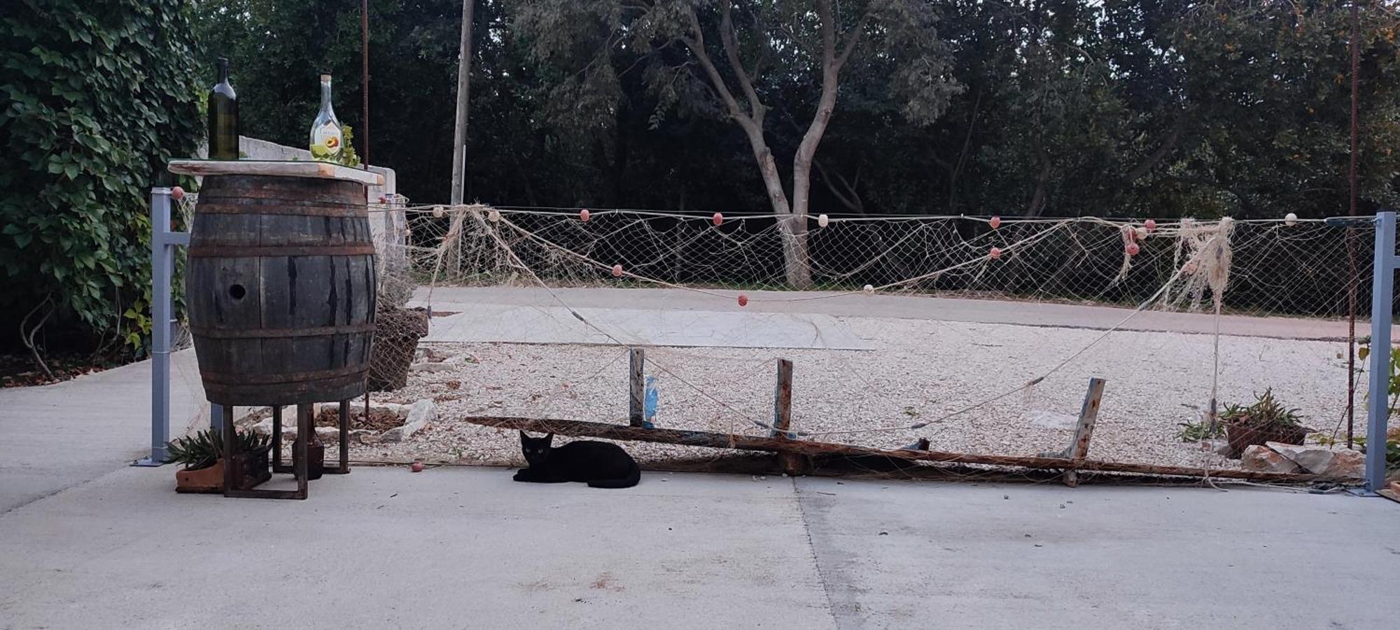 Apartmani Peljesac Sova Sreser Exterior foto